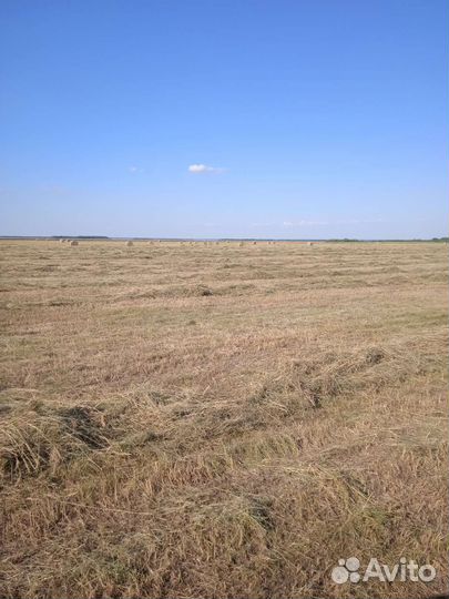 Продам перегной