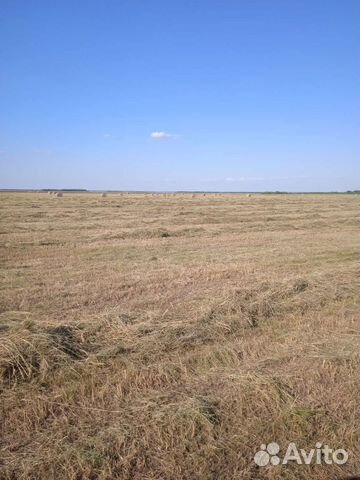 Продам перегной