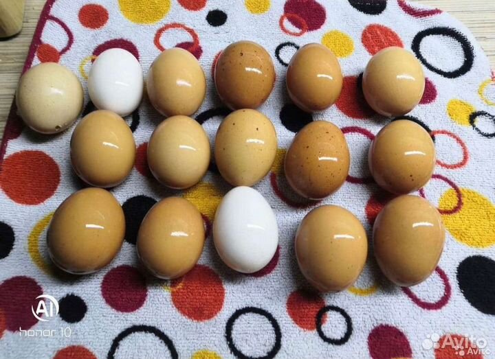 Продам яйцо куриное домашнее