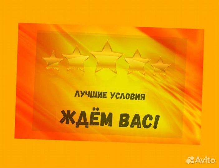 Сборщик заказов Выплаты еженедельно Без опыта М/Ж