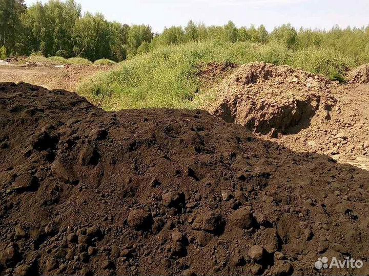Приму грунт. Бесплатно