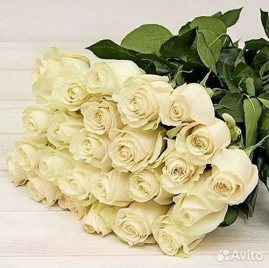 Высокие розы Гигантские розы с доставкой