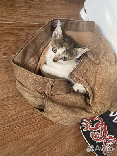 Девочка погибнет на улице