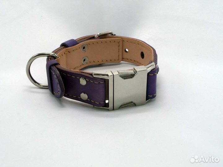 Кожаный ошейник с пряжкой фастекс