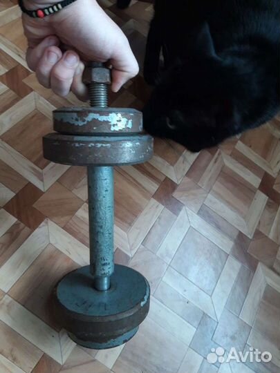 Гантеля разборная 10кг