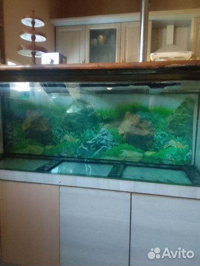 Аквас на350л