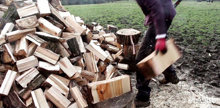 Дрова из леса