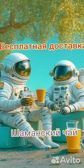 Чай пуэр « Космос шаманов » шмн13776