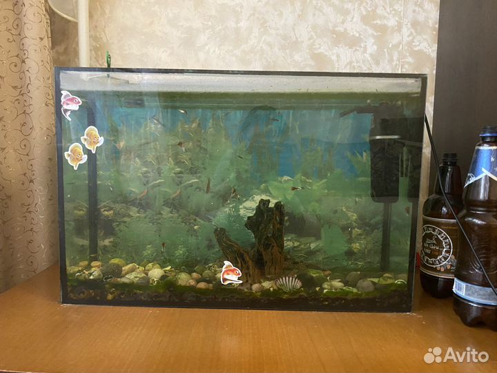 Аквариум с рыбками
