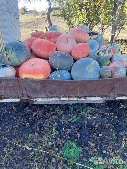 Стиральная машина samsung