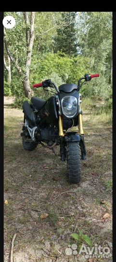 X moto msx 125