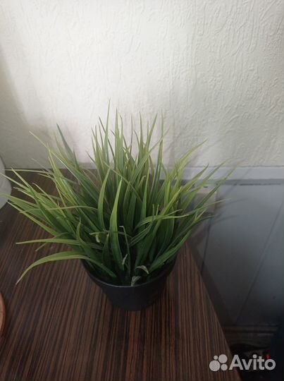 Искуственная трава IKEA