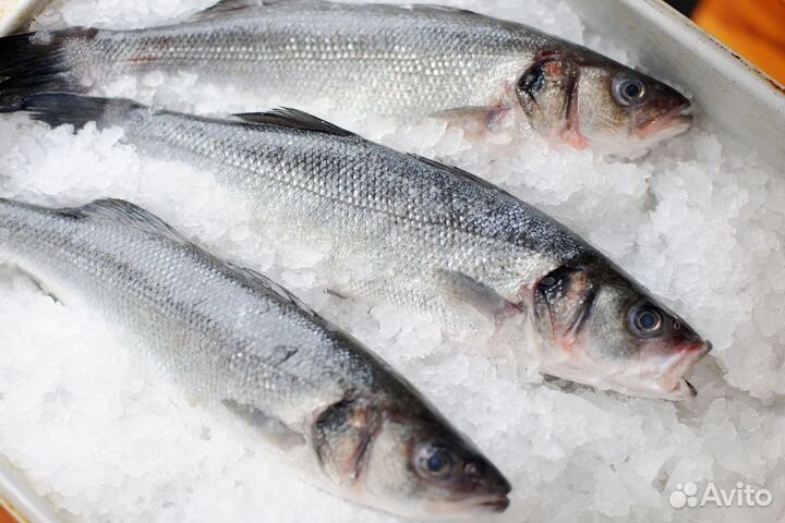 Рыбный бизнес с премиальным ассортиментом морепрод