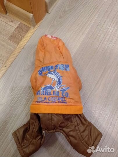 Дождевик для маленькой собаки