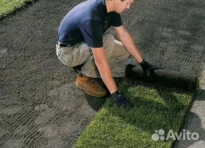 Газон от производителя