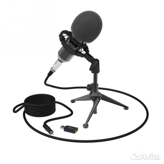 Микрофон Ritmix RDM-160 Black