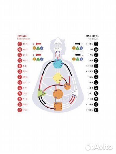 Разбор анализ карты human design