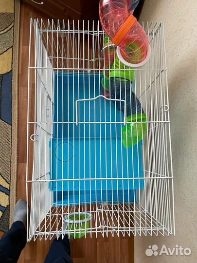 Клетка для грызунов бу