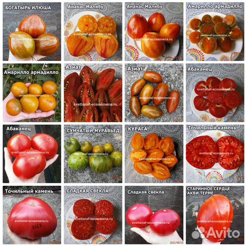 Коллекционные семена томатов и перцев