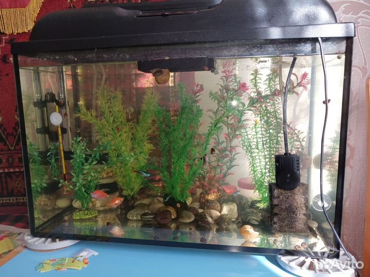 Аквариум