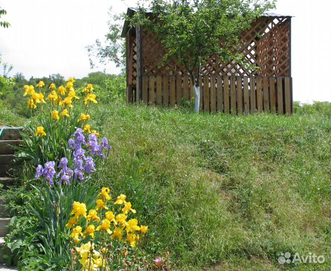 Аренда беседки на прудах
