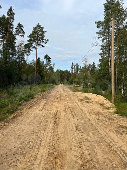 Участок 10 сот. (СНТ, ДНП)