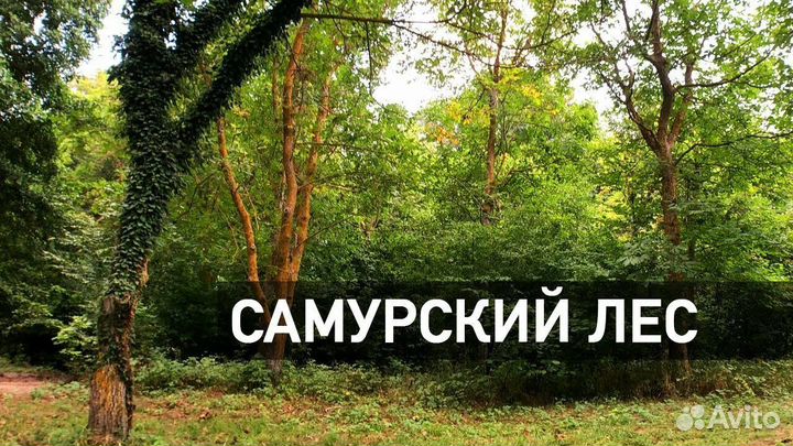 Аренда авто с водителем и без, минивэн 10 мест