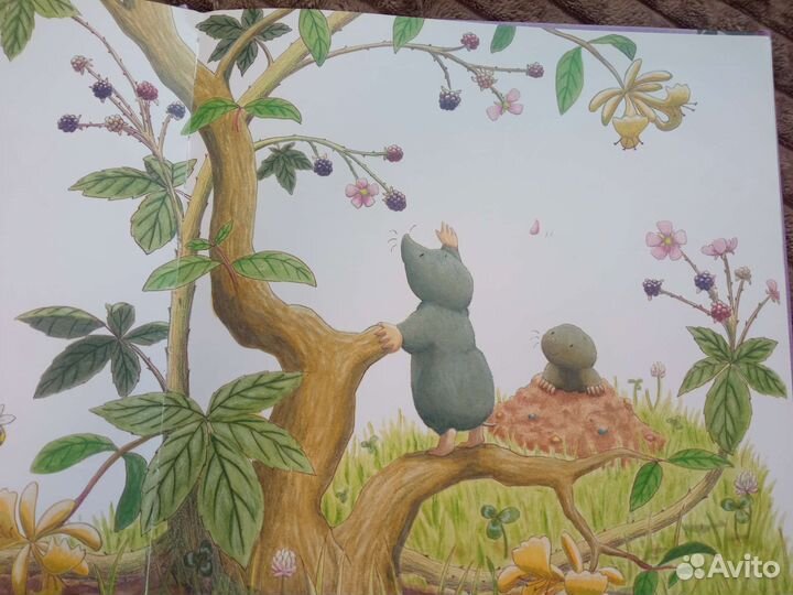 Книги Амбер Стюарт