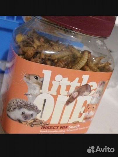 Пудра и корм