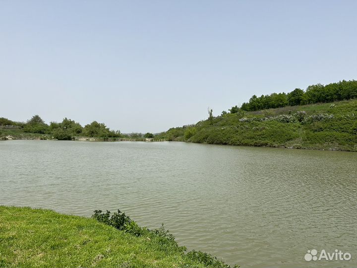 Платная рыбалка