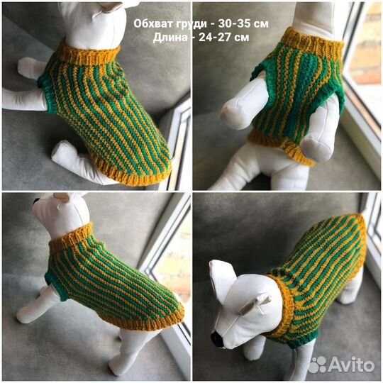 Одежда для собак