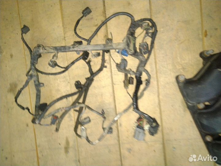 Форд Маверик Эскейп катушки форсунки