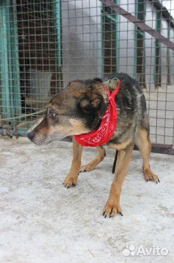 Серхио ищет теплый дом