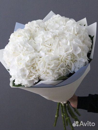 Букет Крапной Гортензии с доставкой