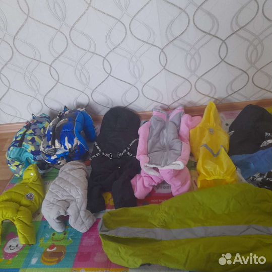Одежда для собак зима, поводки Новая