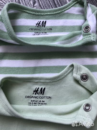 Боди H&M 62