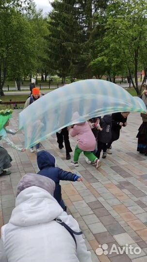 Организатор мероприятий