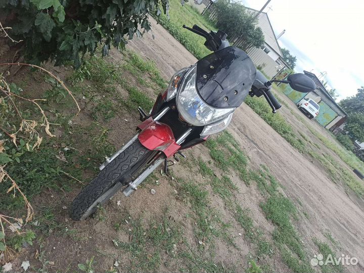 Racer viper 130см