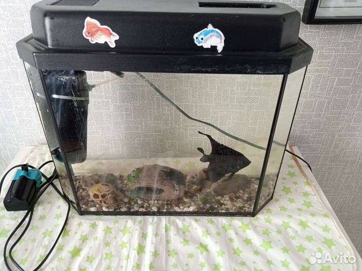 Аквариум
