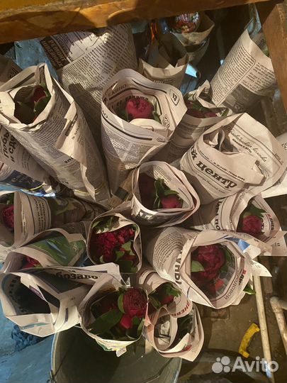 Цветы пионы