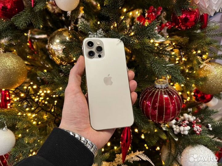 iPhone 12 Pro Max, 256 ГБ