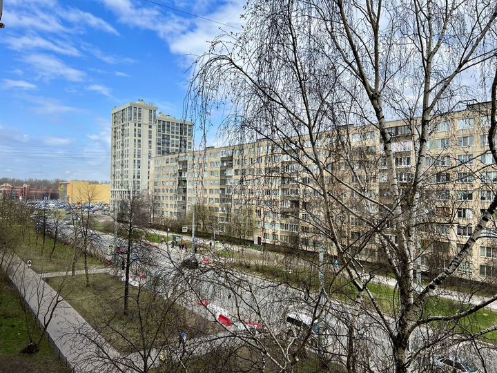 3-к. квартира, 65,1 м², 5/9 эт.