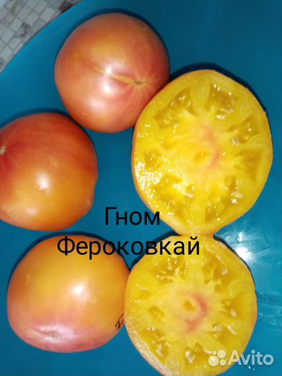 Семена томатов гномы