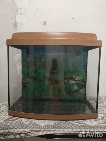 Аквариум 37л