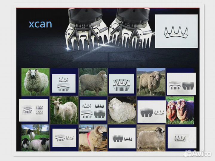 Ножи для машинки Стрижки Овец лезвия