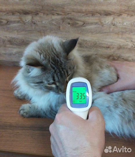 Градусники уличные и комнатные