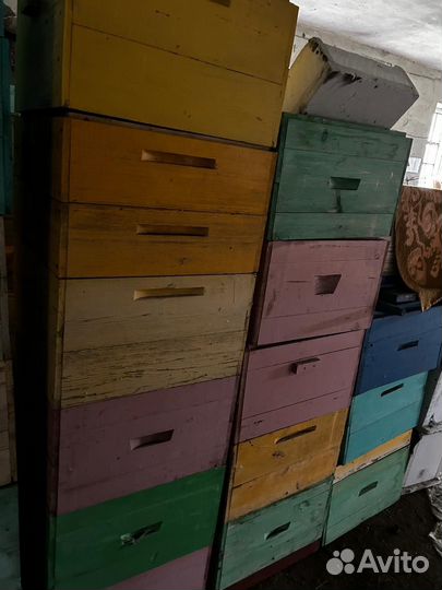 Ульи для пчел