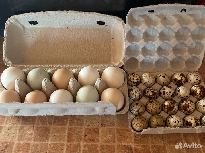 Козье молоко