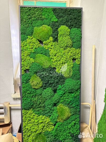 Панно из мха светлого и темного