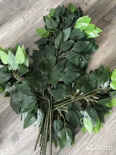 Искусственные ветки фикуса